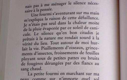 Extrait de Pass&eacute; par les Armes
