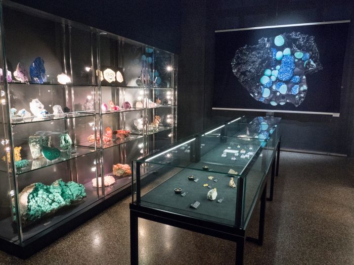 Musée de géologie